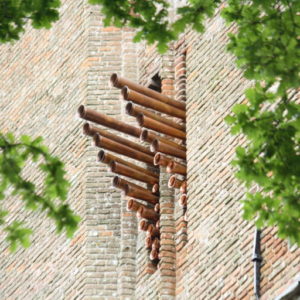 cropped-IMG_6252.jpg